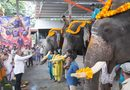 ಶಿವಮೊಗ್ಗ ದಸರೆಗೆ ಗಜಪಡೆಯ ಭವ್ಯ ಆಗಮನ: ಅಂಬಾರಿ ಆನೆಗಳಿಗೆ ವಿಶೇಷ ಪೂಜೆ, ಅದ್ಧೂರಿ ಸ್ವಾಗತ! ಶಿವಮೊಗ್ಗ ದಸರೆಗೆ ಗಜಪಡೆಯ ಭವ್ಯ ಆಗಮನ: ಅಂಬಾರಿ ಆನೆಗಳಿಗೆ ವಿಶೇಷ ಪೂಜೆ, ಅದ್ಧೂರಿ ಸ್ವಾಗತ!