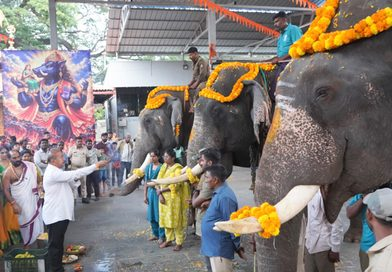 ಶಿವಮೊಗ್ಗ ದಸರೆಗೆ ಗಜಪಡೆಯ ಭವ್ಯ ಆಗಮನ: ಅಂಬಾರಿ ಆನೆಗಳಿಗೆ ವಿಶೇಷ ಪೂಜೆ, ಅದ್ಧೂರಿ ಸ್ವಾಗತ! ಶಿವಮೊಗ್ಗ ದಸರೆಗೆ ಗಜಪಡೆಯ ಭವ್ಯ ಆಗಮನ: ಅಂಬಾರಿ ಆನೆಗಳಿಗೆ ವಿಶೇಷ ಪೂಜೆ, ಅದ್ಧೂರಿ ಸ್ವಾಗತ!