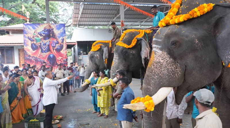 ಶಿವಮೊಗ್ಗ ದಸರೆಗೆ ಗಜಪಡೆಯ ಭವ್ಯ ಆಗಮನ: ಅಂಬಾರಿ ಆನೆಗಳಿಗೆ ವಿಶೇಷ ಪೂಜೆ, ಅದ್ಧೂರಿ ಸ್ವಾಗತ! ಶಿವಮೊಗ್ಗ ದಸರೆಗೆ ಗಜಪಡೆಯ ಭವ್ಯ ಆಗಮನ: ಅಂಬಾರಿ ಆನೆಗಳಿಗೆ ವಿಶೇಷ ಪೂಜೆ, ಅದ್ಧೂರಿ ಸ್ವಾಗತ!